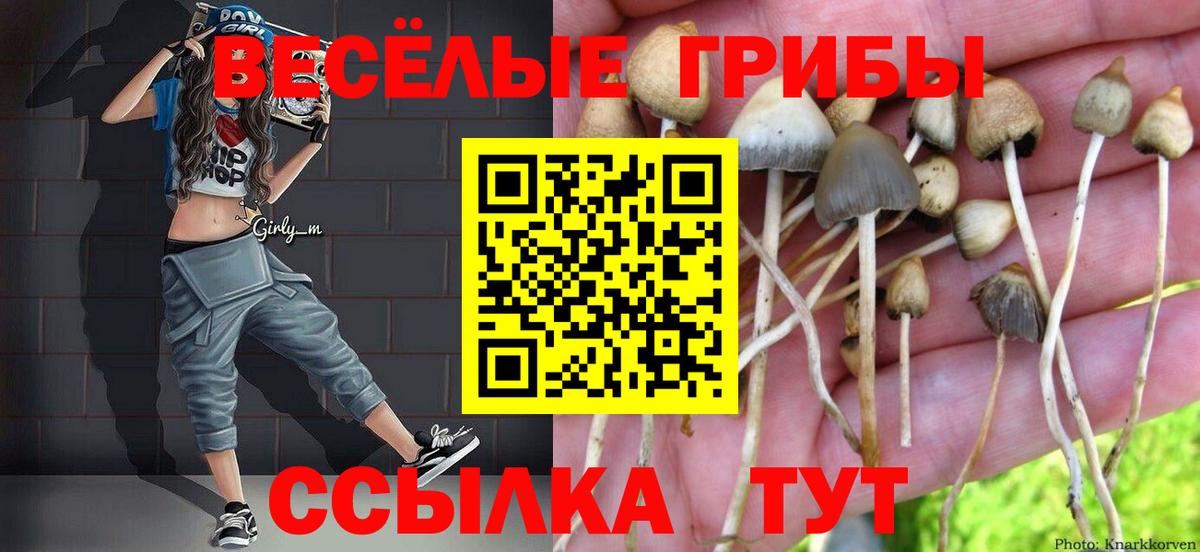 Псилоцибиновые грибы ЛСД Бузулук