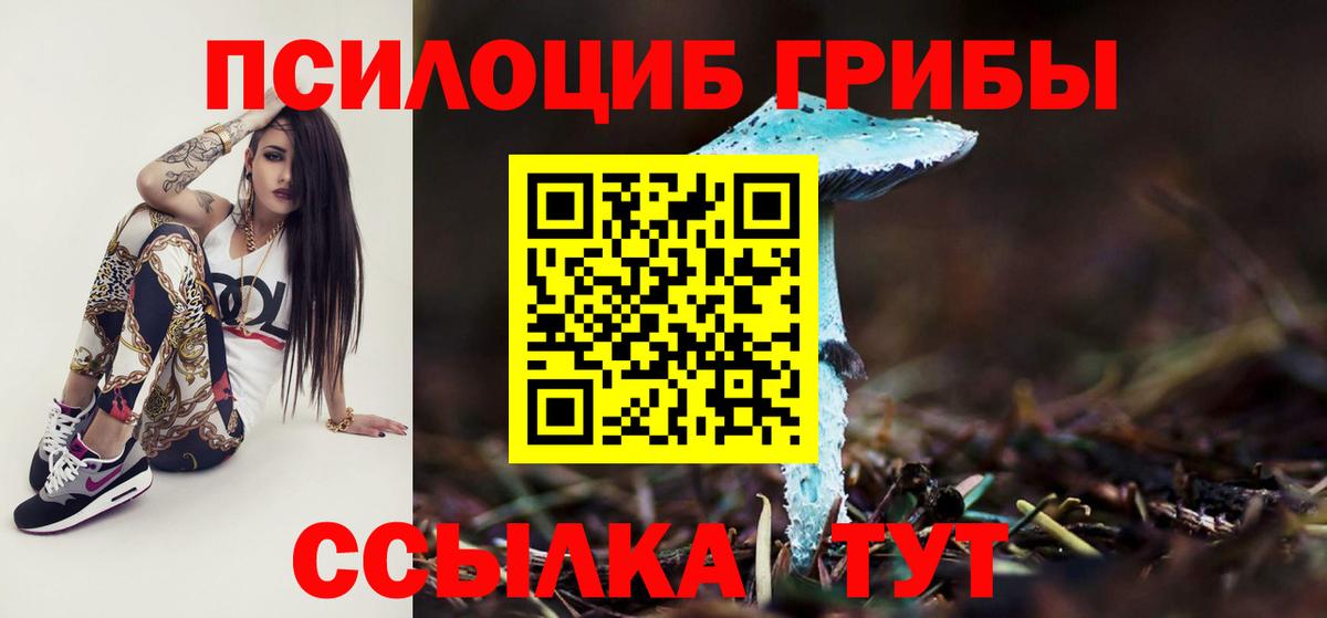 Псилоцибиновые грибы ЛСД  Галлюциногенные грибы ЛСД  Бузулук  Вход с VPN 